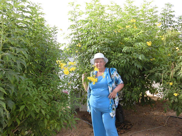 Тамара Харабрина