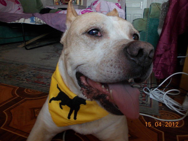 Настоящая Жизнь В Провинции