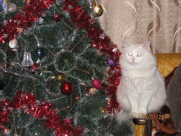 Александр Любавин