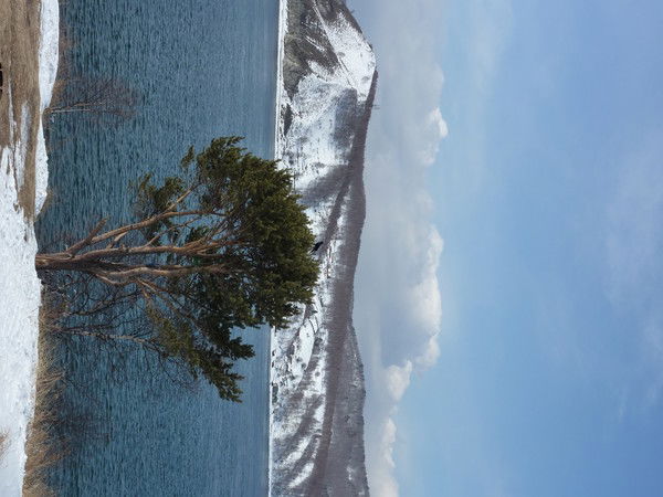 Сергей Чистяков