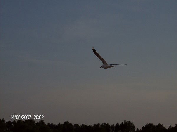 Рашид Закиров