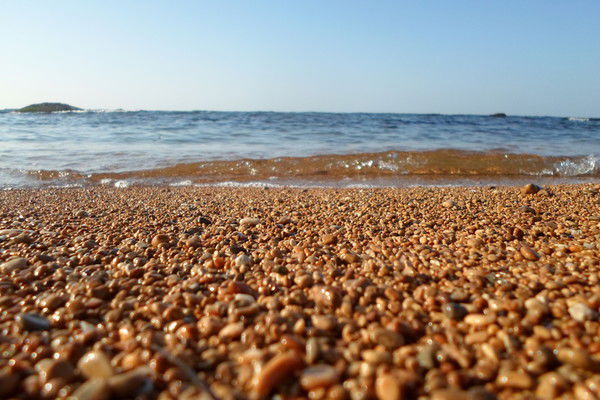 Артур Григорян