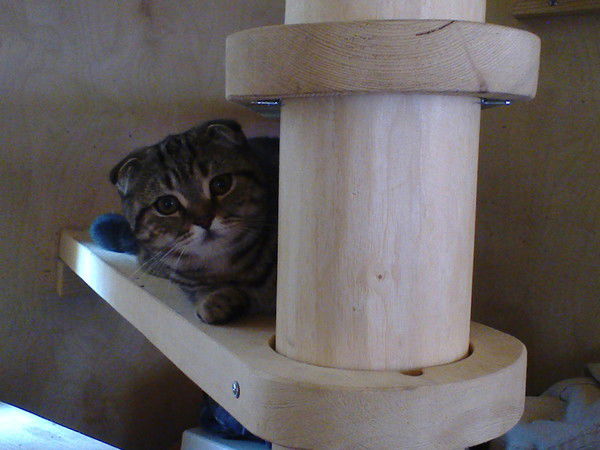 Наталья Ершова