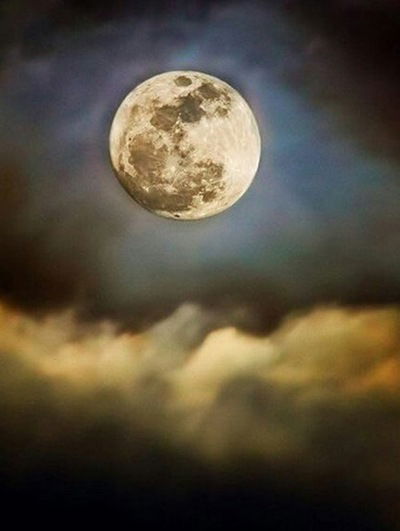 Женя Сильчукова