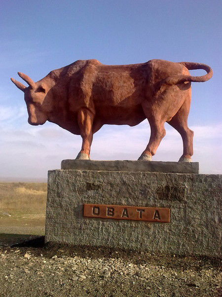 Александр Гаврилец