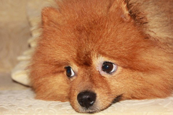 Ирина Иванова