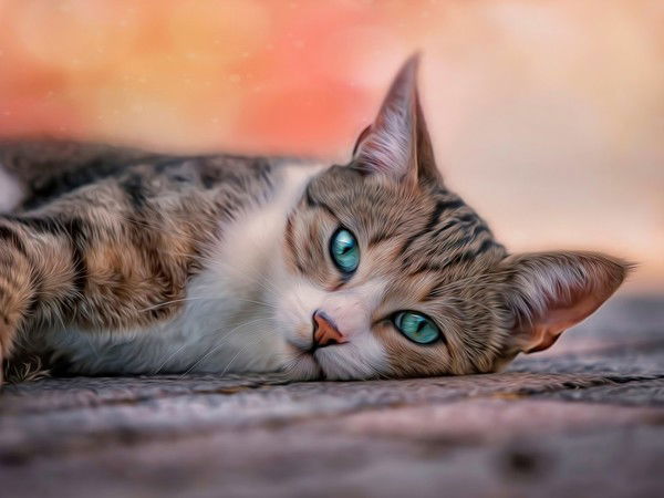 Виктория Конорева