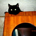 Анатолий Войцеховский