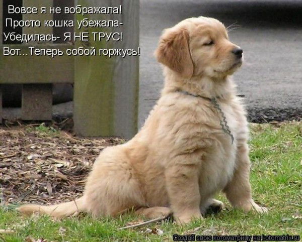 Игорь Певнев