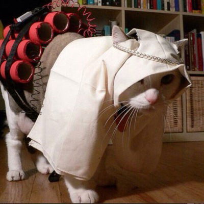 Идеальный Мужчина