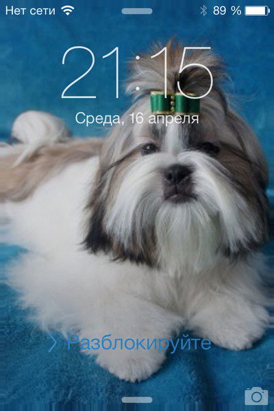 Наталья Сухорученкова