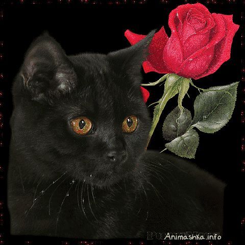 Любовь Шинкарева