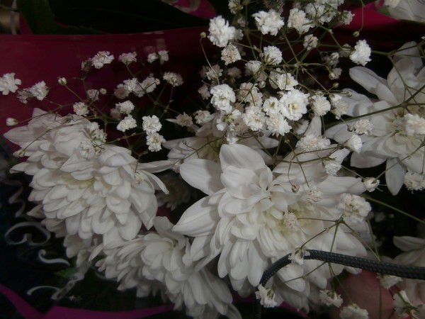 Надежда Пенто