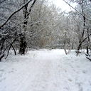 Наталия Грозная