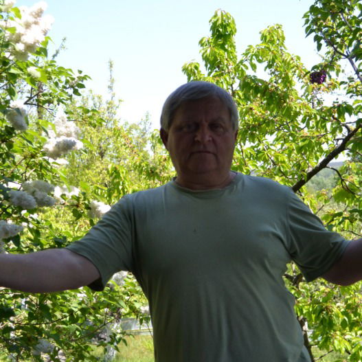 Александр Гордиенко