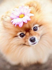 Юлия Хабарова