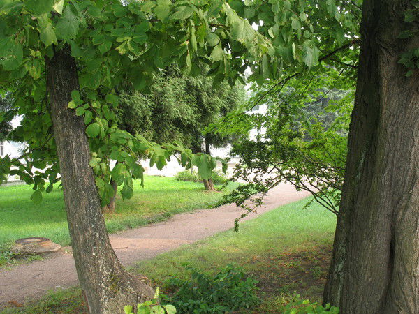 Зинаида Слабуха