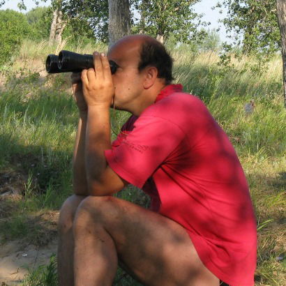 Александр Гнусин