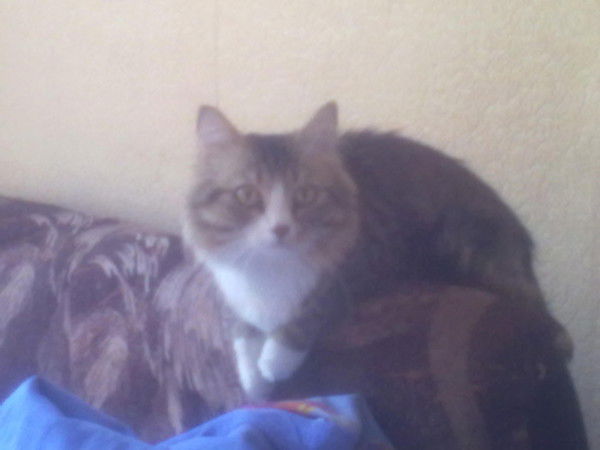 Андрей Карпов