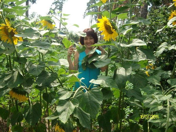 Саша Чистякова