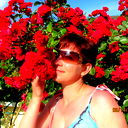Елена Ромашова