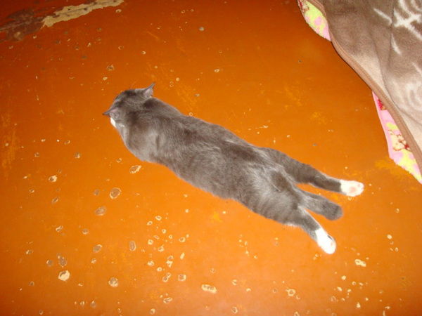 Александр Кужиков