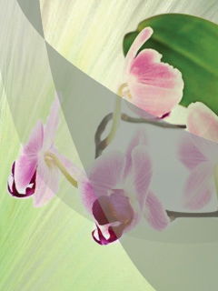 Риза Жундибаева