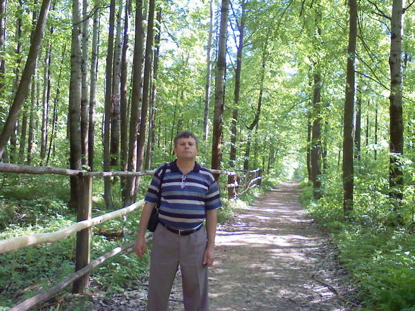 Александр Школин