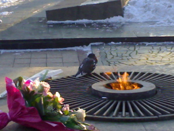 Себастьян Перейра