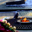 Себастьян Перейра