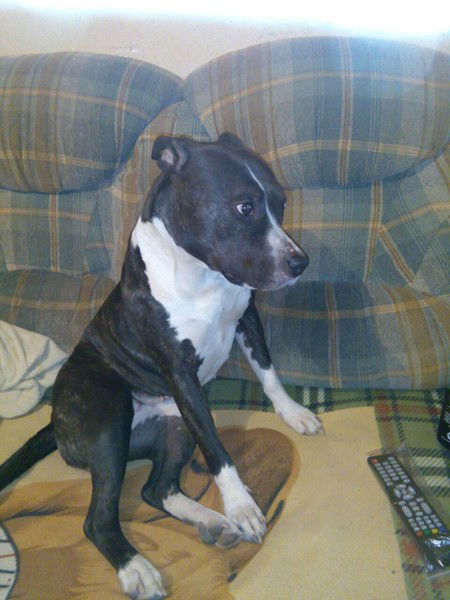 Красота Природы