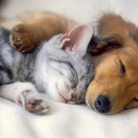 Евгений Чупин