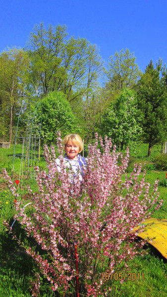 Татьяна Лелекова