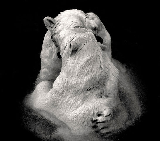 Иван Панкратов