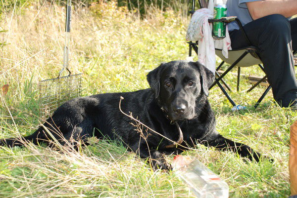 Валера Бахмач