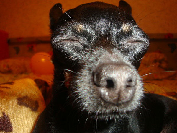 Андрей Бородулин