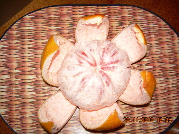 Ольга Герасимова