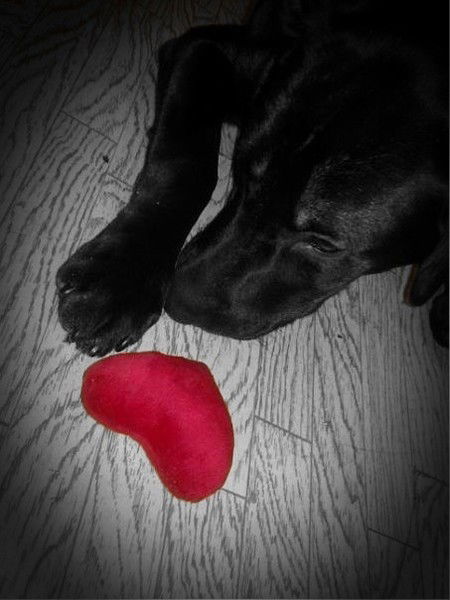 Дарья Дмитриевна