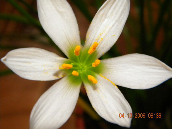 Наталья Дорошенко