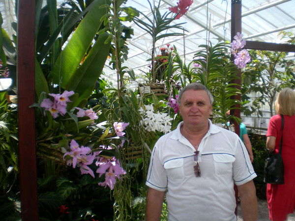 Виктор Цафт