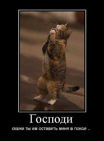 Ирина Лозицких