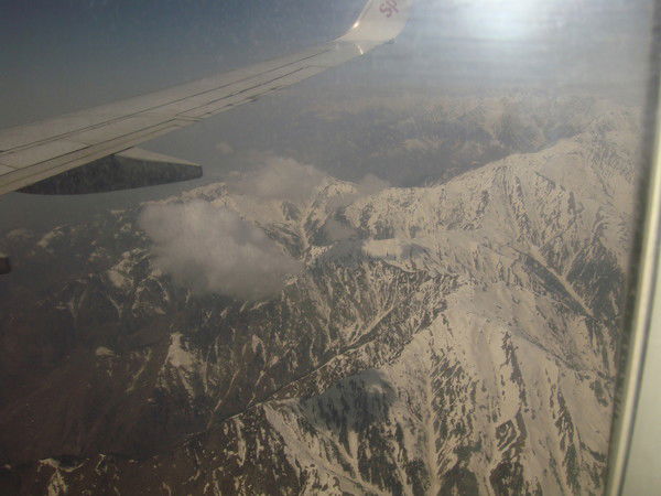 Карина Григорян