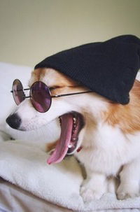 Максим Белых