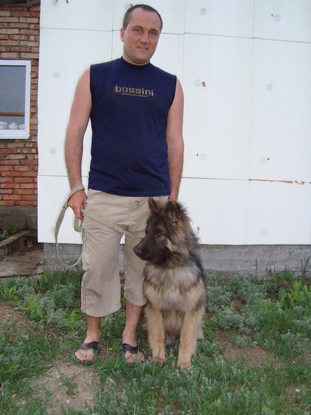 Алексей Горенюк