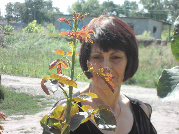 Светлана Филонова