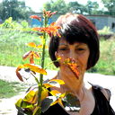 Светлана Филонова