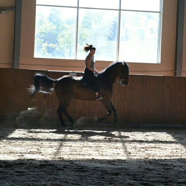 Алена Броуман