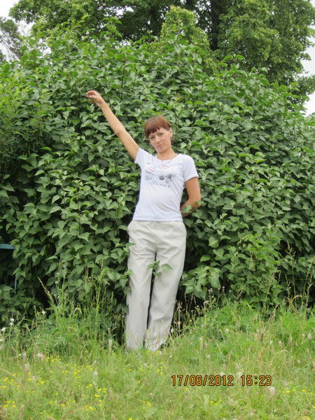 Надежда Баграмшина