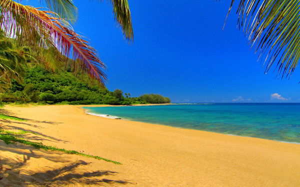 Александр Alex