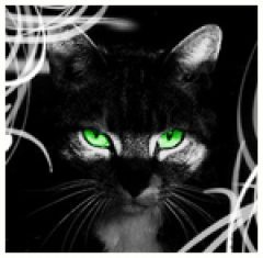 Кристина Евдокимова